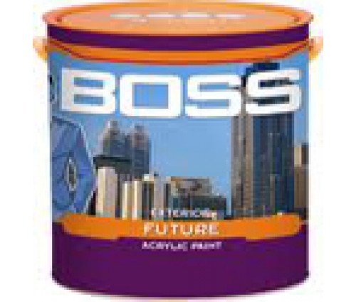 Sơn Boss EXT Future